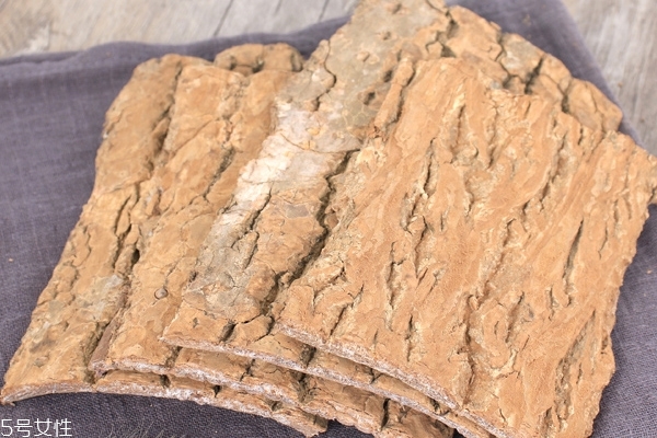 杜仲怎么煲湯 教你幾個搭配 杜仲怎么煲湯 教你幾個搭配