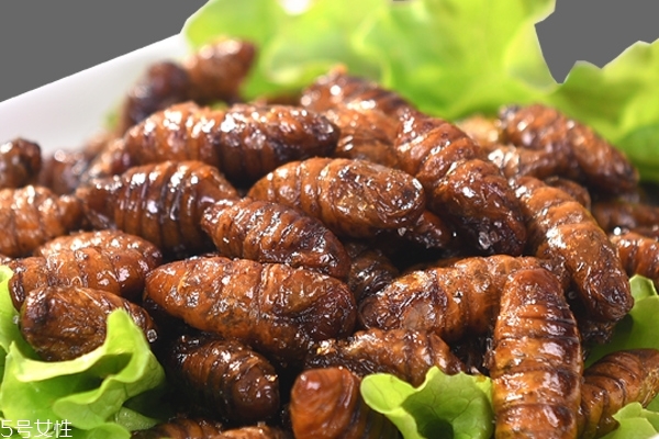 蠶蛹的做法 這樣做最好吃 蠶蛹的做法 這樣做最好吃