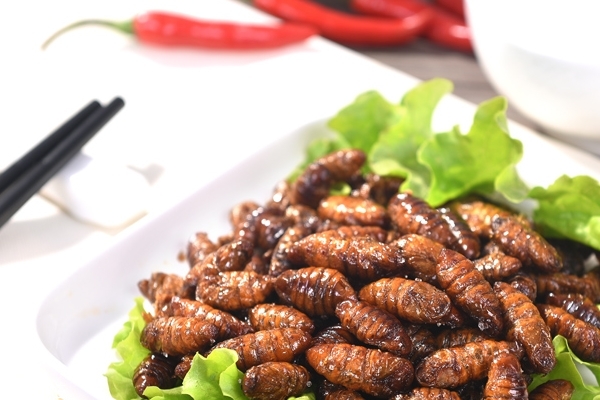 蠶蛹的做法 這樣做最好吃 蠶蛹的做法 這樣做最好吃