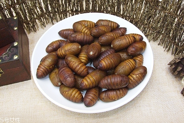 蠶蛹是發(fā)物嗎 屬于發(fā)物 蠶蛹是發(fā)物嗎 屬于發(fā)物