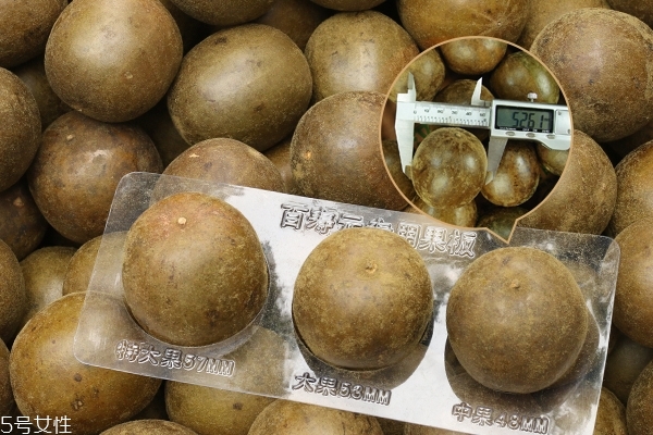 羅漢果要洗嗎 洗或不洗都可以 羅漢果要洗嗎 洗或不洗都可以