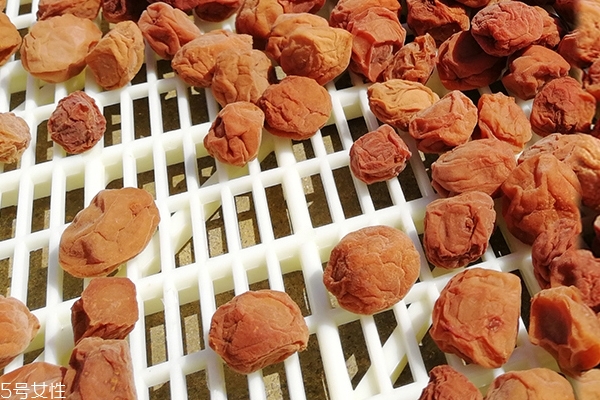 話梅能減肥嗎 沒有這個(gè)功效 話梅能減肥嗎 沒有這個(gè)功效