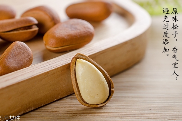 松子怎么挑選 掌握這些方法你就會(huì)了