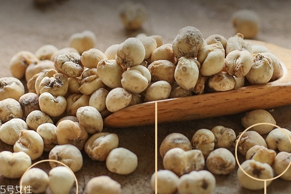 川貝為什么那么貴 原來(lái)是這個(gè)原因