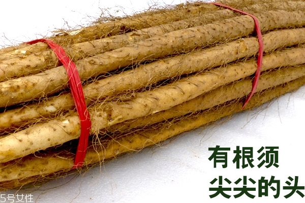 山藥怎么挑選好 4個方法教給你 山藥怎么挑選好 4個方法教給你