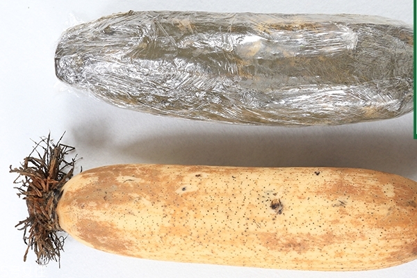 蓮藕如何清洗 這樣洗最干凈 蓮藕如何清洗 這樣洗最干凈