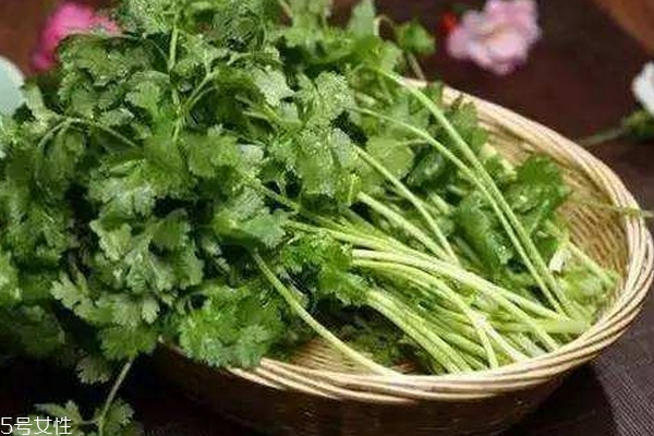 香菜會殺精嗎 沒有真實依據(jù) 香菜會殺精嗎 沒有真實依據(jù)