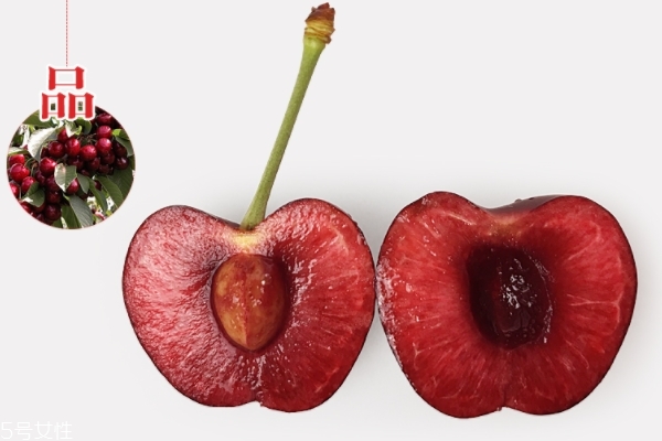 車?yán)遄佑惺裁雌贩N 車?yán)遄又R(shí)科普 車?yán)遄佑惺裁雌贩N 車?yán)遄又R(shí)科普