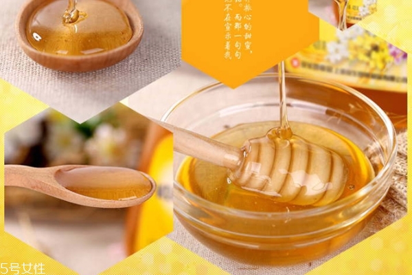 蜂蜜為什么甜 糖分的甜味 蜂蜜為什么甜 糖分的甜味