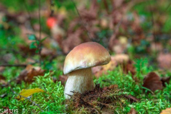 養(yǎng)肝食物推薦 常見(jiàn)肝病演變流程 養(yǎng)肝食物推薦 常見(jiàn)肝病演變流程