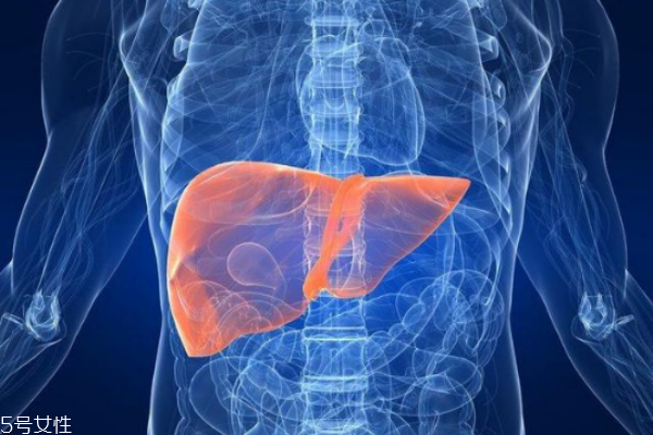 養(yǎng)肝食物推薦 常見(jiàn)肝病演變流程 養(yǎng)肝食物推薦 常見(jiàn)肝病演變流程