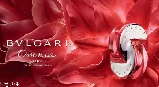 寶格麗香水怎么樣 寶格麗珠寶世家香水香評 寶格麗香水怎么樣 寶格麗珠寶世家香水香評