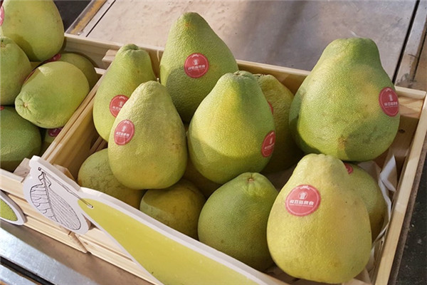 文旦怎么挑選好吃的 文旦怎么挑選好吃的