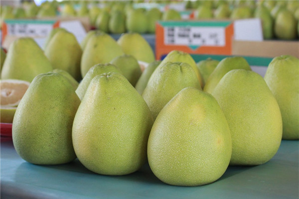 文旦怎么挑選好吃的 文旦怎么挑選好吃的