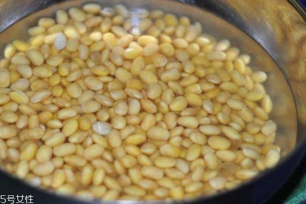 黃豆醬能不能做魚 蒸魚味道不錯 黃豆醬能不能做魚 蒸魚味道不錯