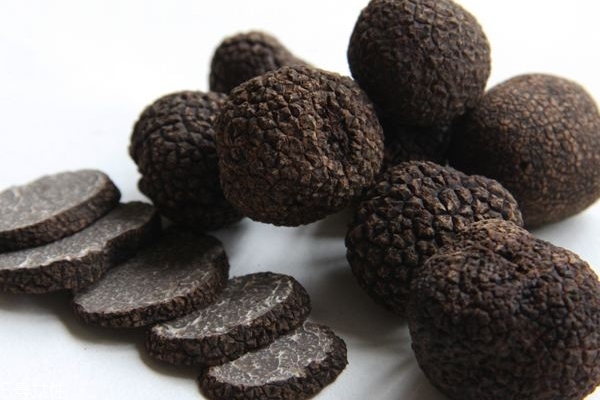 松露為什么不能養(yǎng)殖 人工栽培難度較大 松露為什么不能養(yǎng)殖 人工栽培難度較大