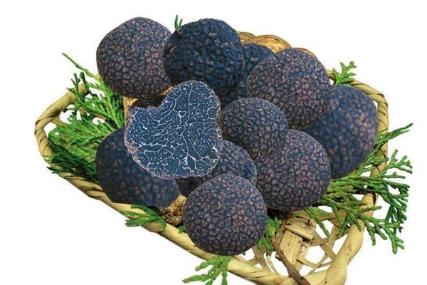 松露怎么處理 這些你都要了解 松露怎么處理 這些你都要了解