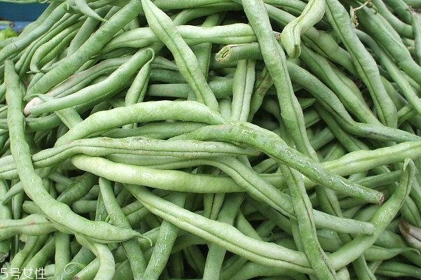 四季豆怎么處理 這樣才是正確方式 四季豆怎么處理 這樣才是正確方式