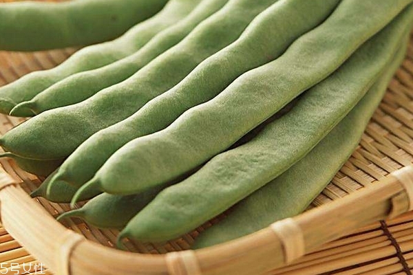 四季豆吃多了會(huì)脹氣嗎 豆類的特性 四季豆吃多了會(huì)脹氣嗎 豆類的特性