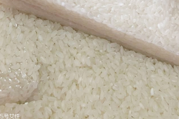 東北大米什么時候收割 十月份左右 東北大米什么時候收割 十月份左右