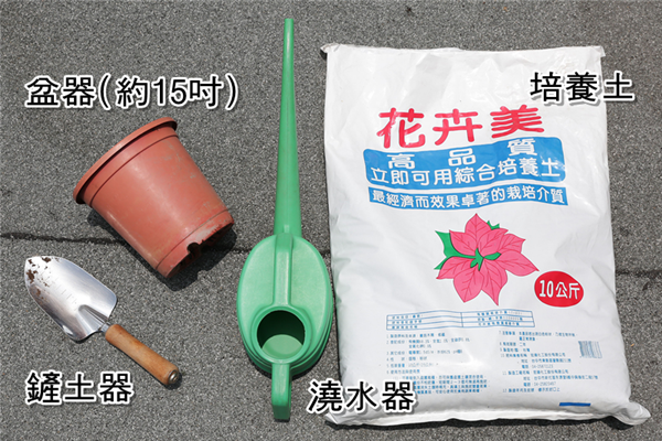 小花園種什么蔬菜好看還能吃 小花園種什么蔬菜好看還能吃