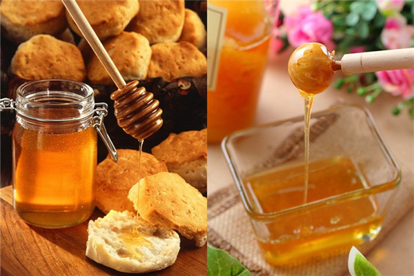 結晶蜂蜜好不好 結晶不代表就是假蜂蜜 結晶蜂蜜好不好 結晶不代表就是假蜂蜜