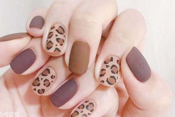 顯手白豹紋美甲圖片 這幾款簡單干凈又洋氣 顯手白豹紋美甲圖片 這幾款簡單干凈又洋氣