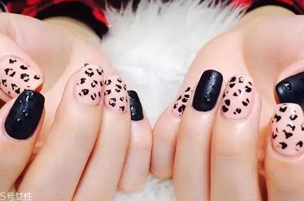 顯手白豹紋美甲圖片 這幾款簡單干凈又洋氣 顯手白豹紋美甲圖片 這幾款簡單干凈又洋氣