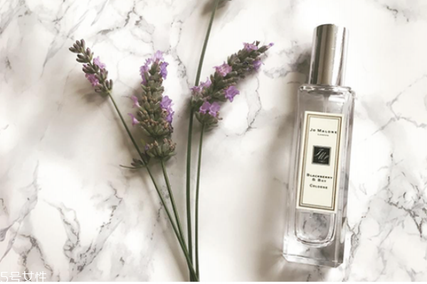 祖馬龍黑莓月桂好聞嗎 祖馬龍黑莓與月桂香調(diào) 祖馬龍黑莓月桂好聞嗎 祖馬龍黑莓與月桂香調(diào)