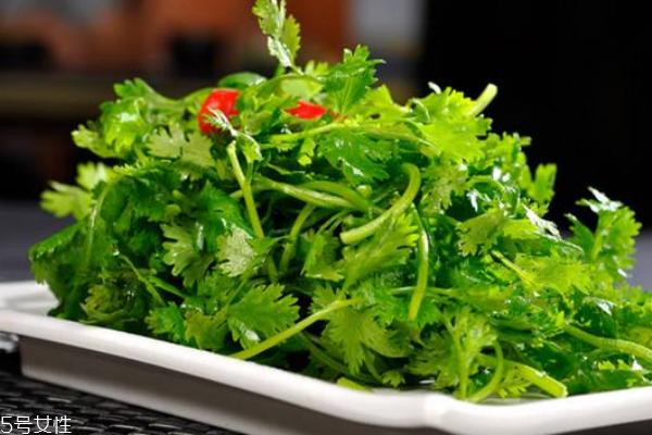 香菜的營養(yǎng)價(jià)值 吃香菜注意事項(xiàng) 香菜的營養(yǎng)價(jià)值 吃香菜注意事項(xiàng)