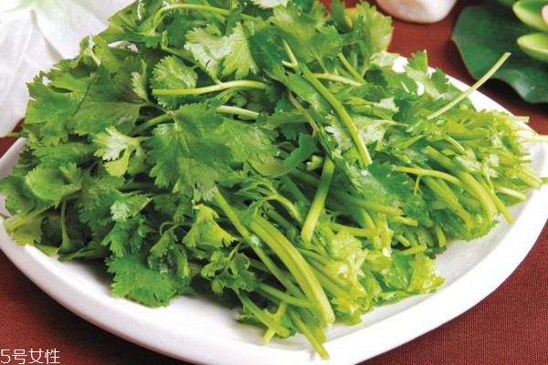 香菜的營養(yǎng)價(jià)值 吃香菜注意事項(xiàng) 香菜的營養(yǎng)價(jià)值 吃香菜注意事項(xiàng)