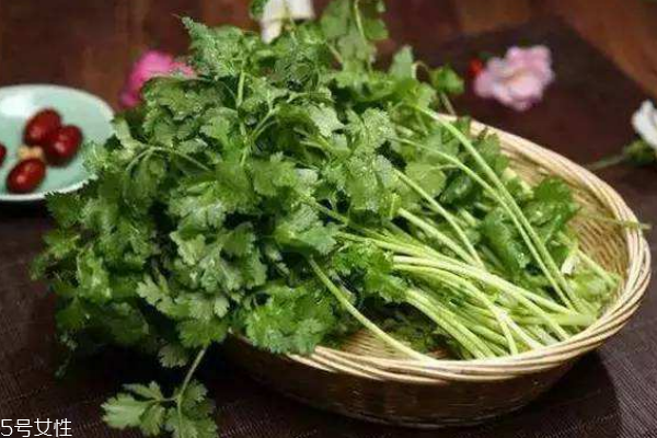 香菜的營養(yǎng)價(jià)值 吃香菜注意事項(xiàng) 香菜的營養(yǎng)價(jià)值 吃香菜注意事項(xiàng)