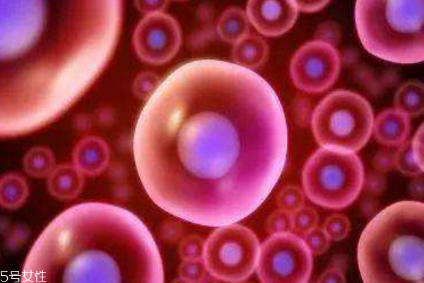 卵泡發(fā)育不良為何不首選促排 卵泡發(fā)育不良為何不首選促排