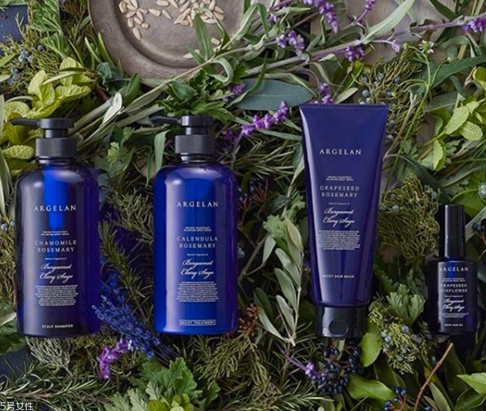 開架護(hù)發(fā)油哪個(gè)牌子好用 5款護(hù)發(fā)油討論度超高 開架護(hù)發(fā)油哪個(gè)牌子好用 5款護(hù)發(fā)油討論度超高