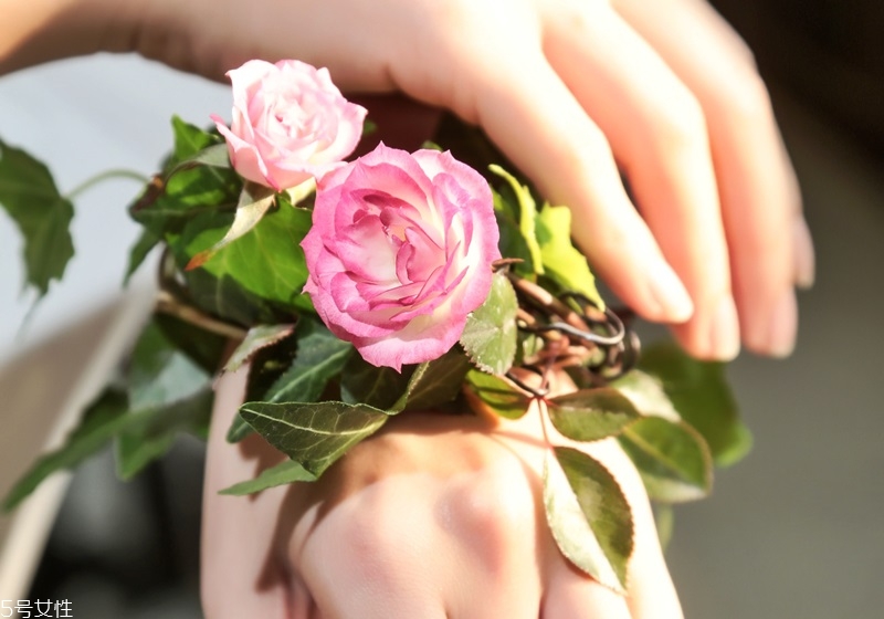 玫瑰花盆栽種植方法 玫瑰花盆栽在家這樣養(yǎng) 玫瑰花盆栽種植方法 玫瑰花盆栽在家這樣養(yǎng)