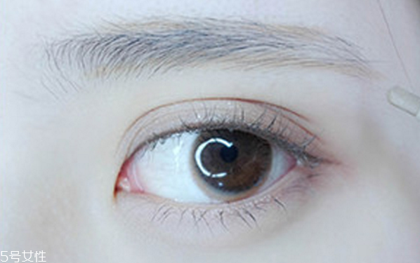 畫(huà)眉怎么畫(huà)才好看 簡(jiǎn)單畫(huà)眉毛的技巧圖解 畫(huà)眉怎么畫(huà)才好看 簡(jiǎn)單畫(huà)眉毛的技巧圖解