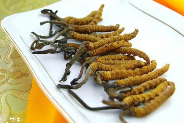 冬蟲夏草的功效作用與知識要點(diǎn) 冬蟲夏草的功效作用與知識要點(diǎn)