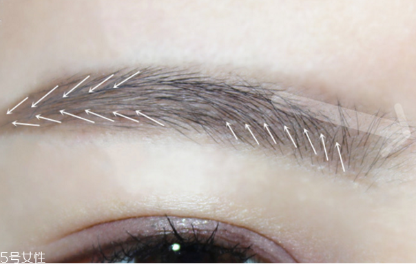 如何畫好眉毛 自然系眉毛畫法 如何畫好眉毛 自然系眉毛畫法