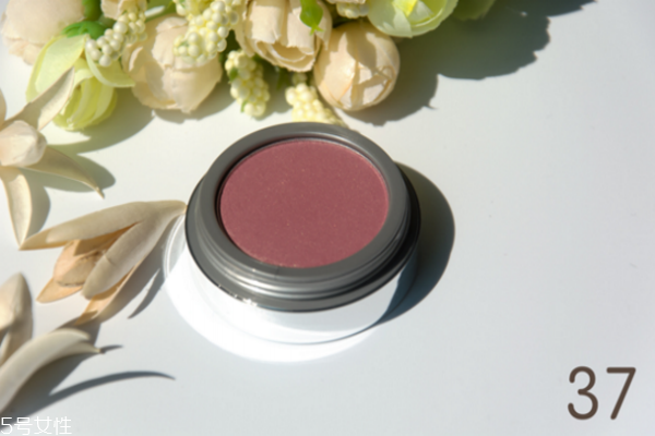 jordana腮紅顏色推薦 jordana腮紅熱門色號(hào)試色 jordana腮紅顏色推薦 jordana腮紅熱門色號(hào)試色