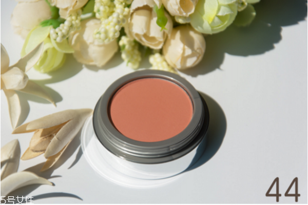 jordana腮紅顏色推薦 jordana腮紅熱門色號(hào)試色 jordana腮紅顏色推薦 jordana腮紅熱門色號(hào)試色