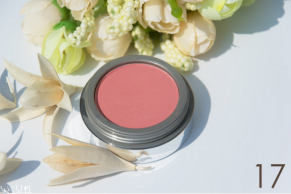 jordana腮紅顏色推薦 jordana腮紅熱門色號(hào)試色 jordana腮紅顏色推薦 jordana腮紅熱門色號(hào)試色