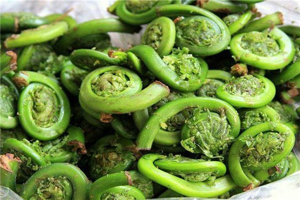 什么樣的人容易得高血壓 預(yù)防高血壓的自然方法 什么樣的人容易得高血壓 預(yù)防高血壓的自然方法