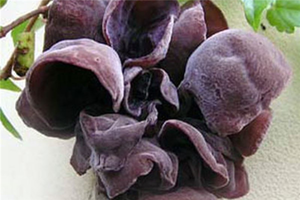 什么樣的人容易得高血壓 預(yù)防高血壓的自然方法 什么樣的人容易得高血壓 預(yù)防高血壓的自然方法