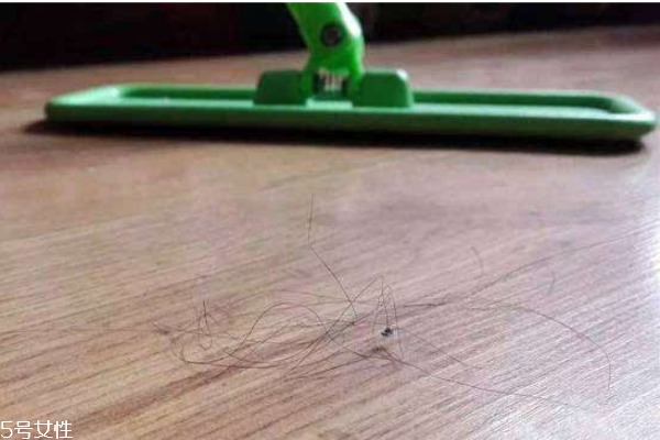 吸塵器有必要買嗎 教你吸塵器怎么選 吸塵器有必要買嗎 教你吸塵器怎么選