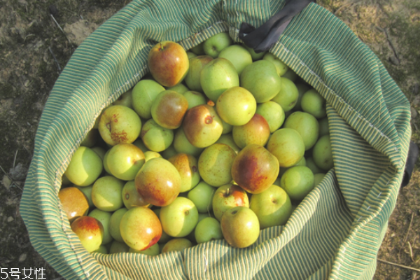 冬棗上火嗎 冬棗是酸性還是堿性 冬棗上火嗎 冬棗是酸性還是堿性