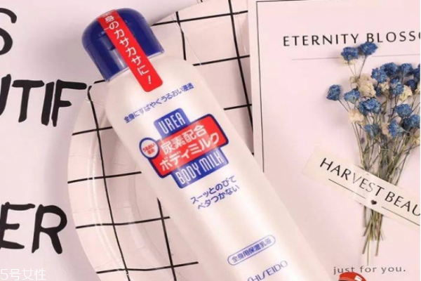 平價身體乳哪個好 推薦秋冬好用的身體乳 平價身體乳哪個好 推薦秋冬好用的身體乳