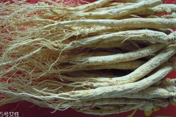 冬季養(yǎng)生補品人參你知道多少 冬季養(yǎng)生補品人參你知道多少
