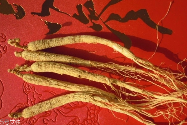 冬季養(yǎng)生補品人參你知道多少 冬季養(yǎng)生補品人參你知道多少