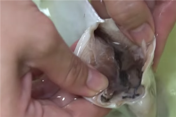 白鯧魚怎么做好吃 酸甜可口番茄燜白鯧的做法 白鯧魚怎么做好吃 酸甜可口番茄燜白鯧的做法