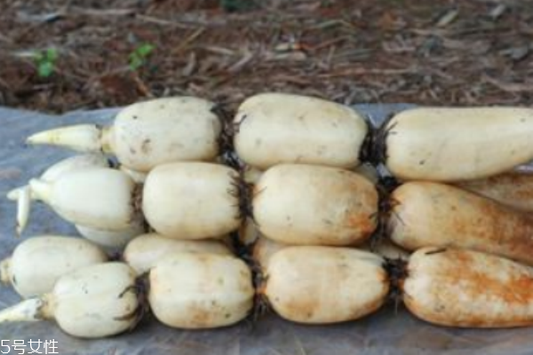 蓮藕有什么好處 保健七大功效作用 蓮藕有什么好處 保健七大功效作用